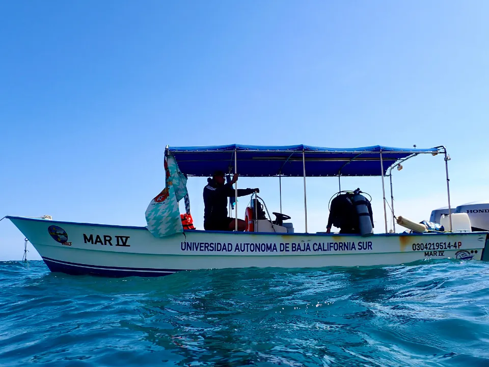 Apoyo al medio ambiente de Grupo INDI