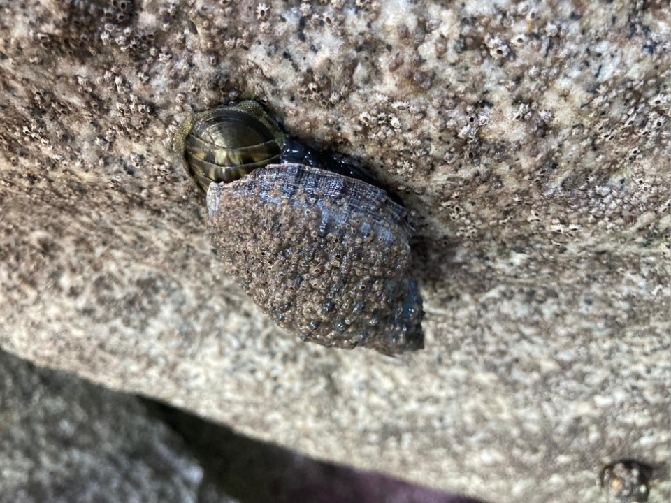 Apoyo al medio ambiente de Grupo INDI